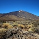 Spanien Immobilien Teneriffa