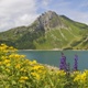 Oesterreich Immobilien Vorarlberg